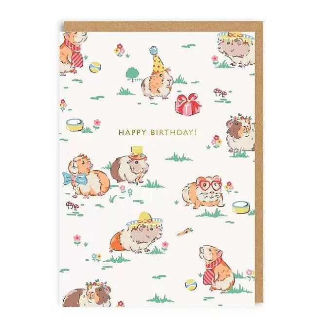 Stationery*Cath Kidston Guinea Pig Birthday Greeting Card (A6)