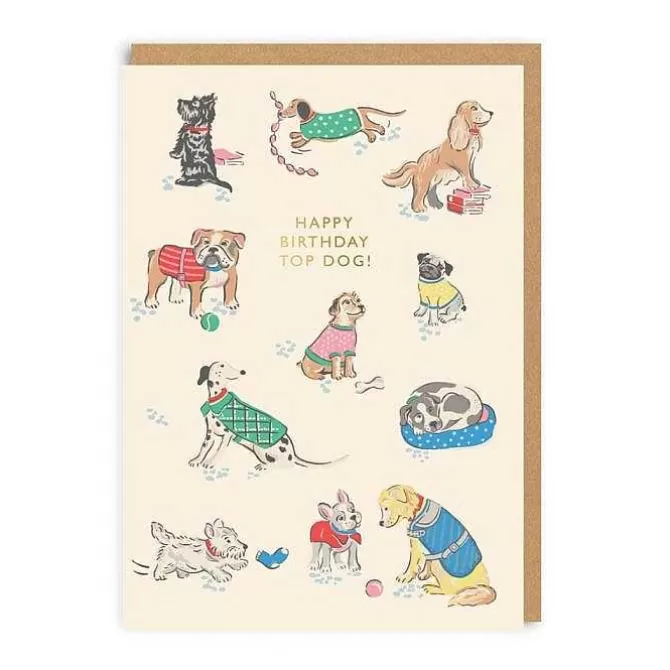 Stationery*Cath Kidston Happy Birthday Top Dog Greeting Card (A6)